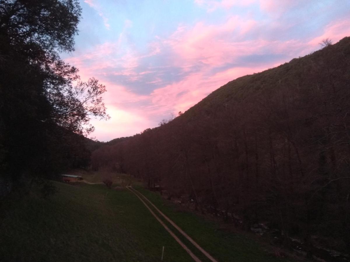 Chambre Cevennes: Piscine, Lamas, Riviere Cros  Buitenkant foto