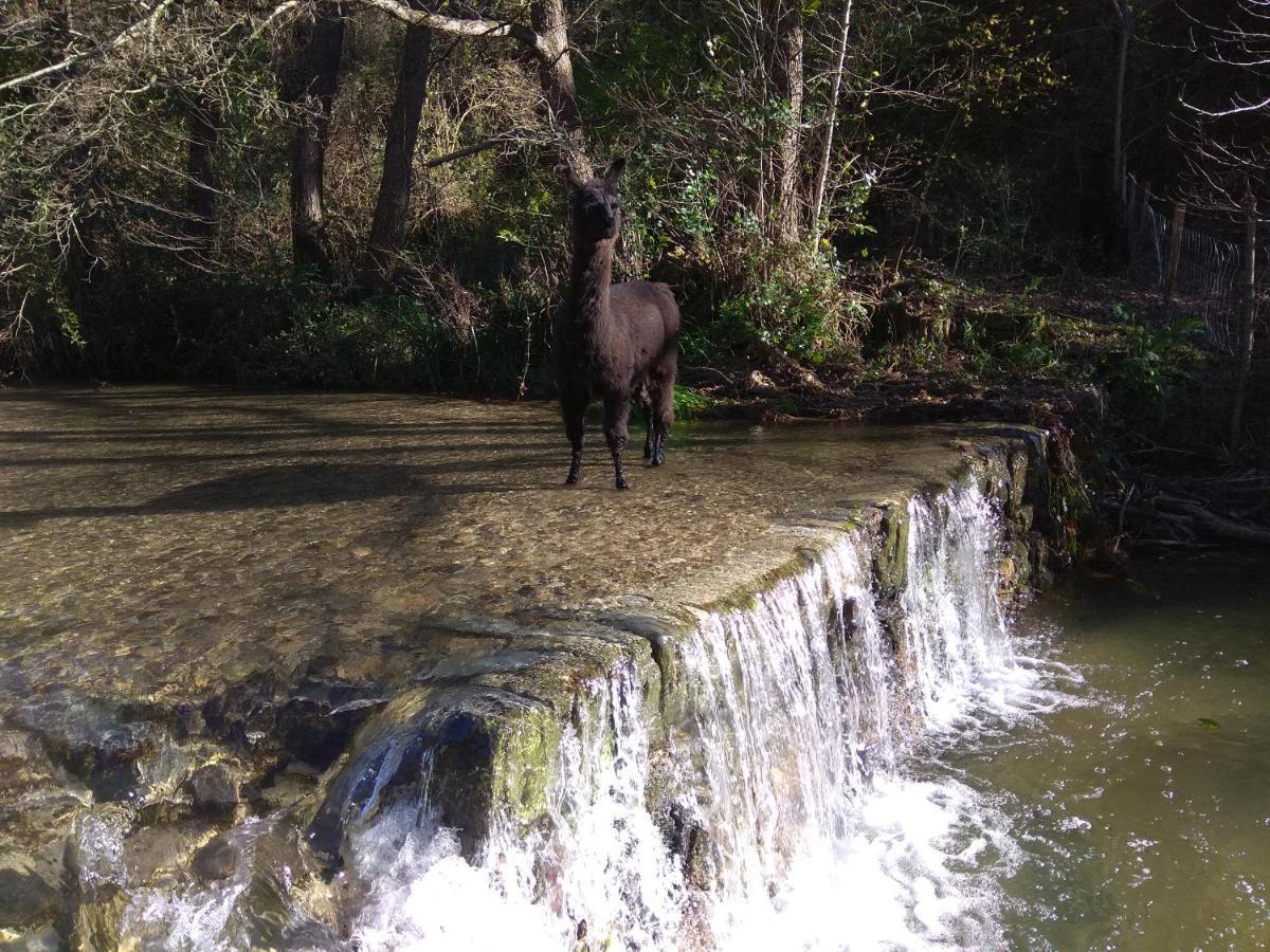 Chambre Cevennes: Piscine, Lamas, Riviere Cros  Buitenkant foto