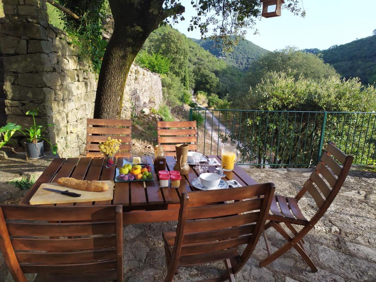 Chambre Cevennes: Piscine, Lamas, Riviere Cros  Buitenkant foto